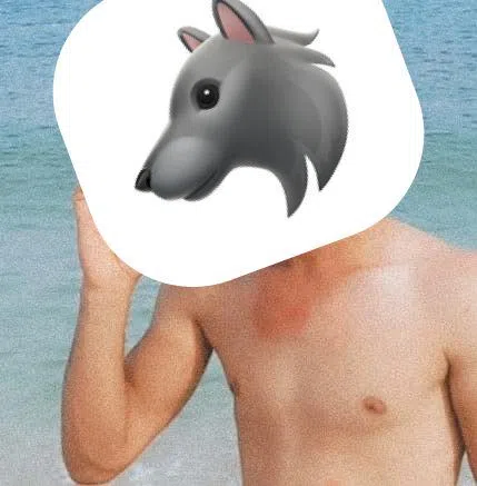 Wolf🐺