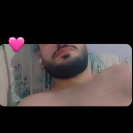 seifdala3