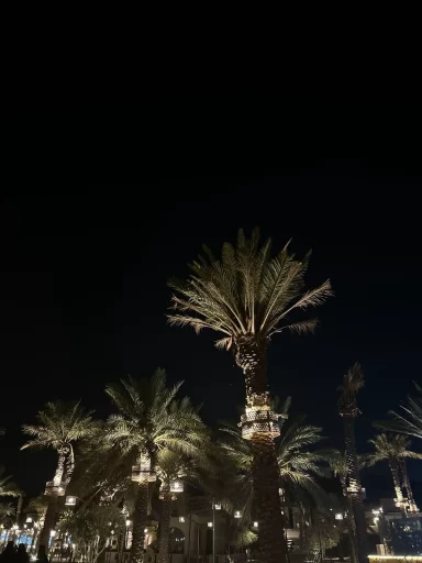 اربعيني سكاكا