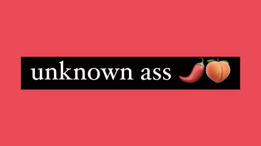 guess who